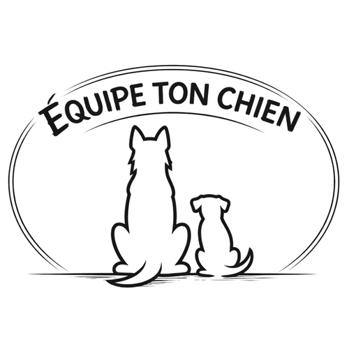 Équipe ton chien